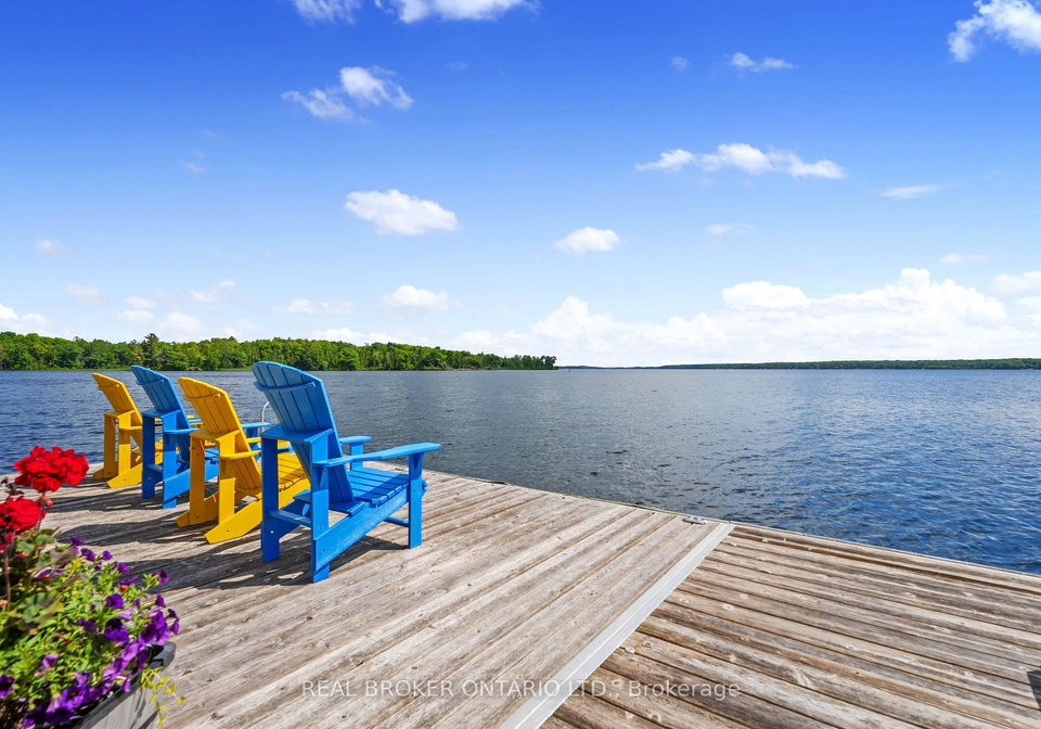 2021-third-line-douro-dummer-ontario-x13126312