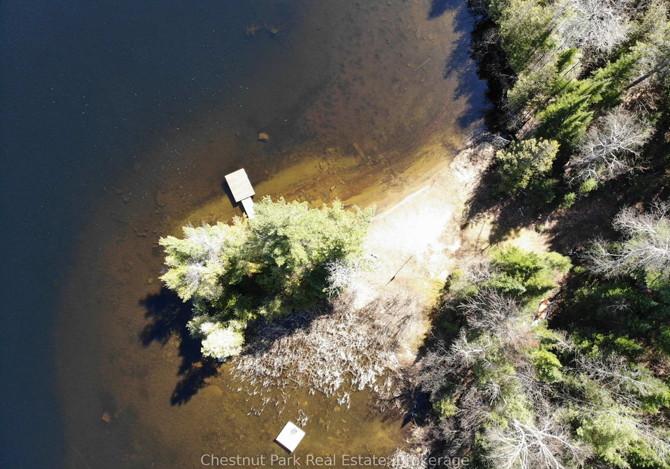 10453-county-road-503-highlands-east-ontario-x13126940