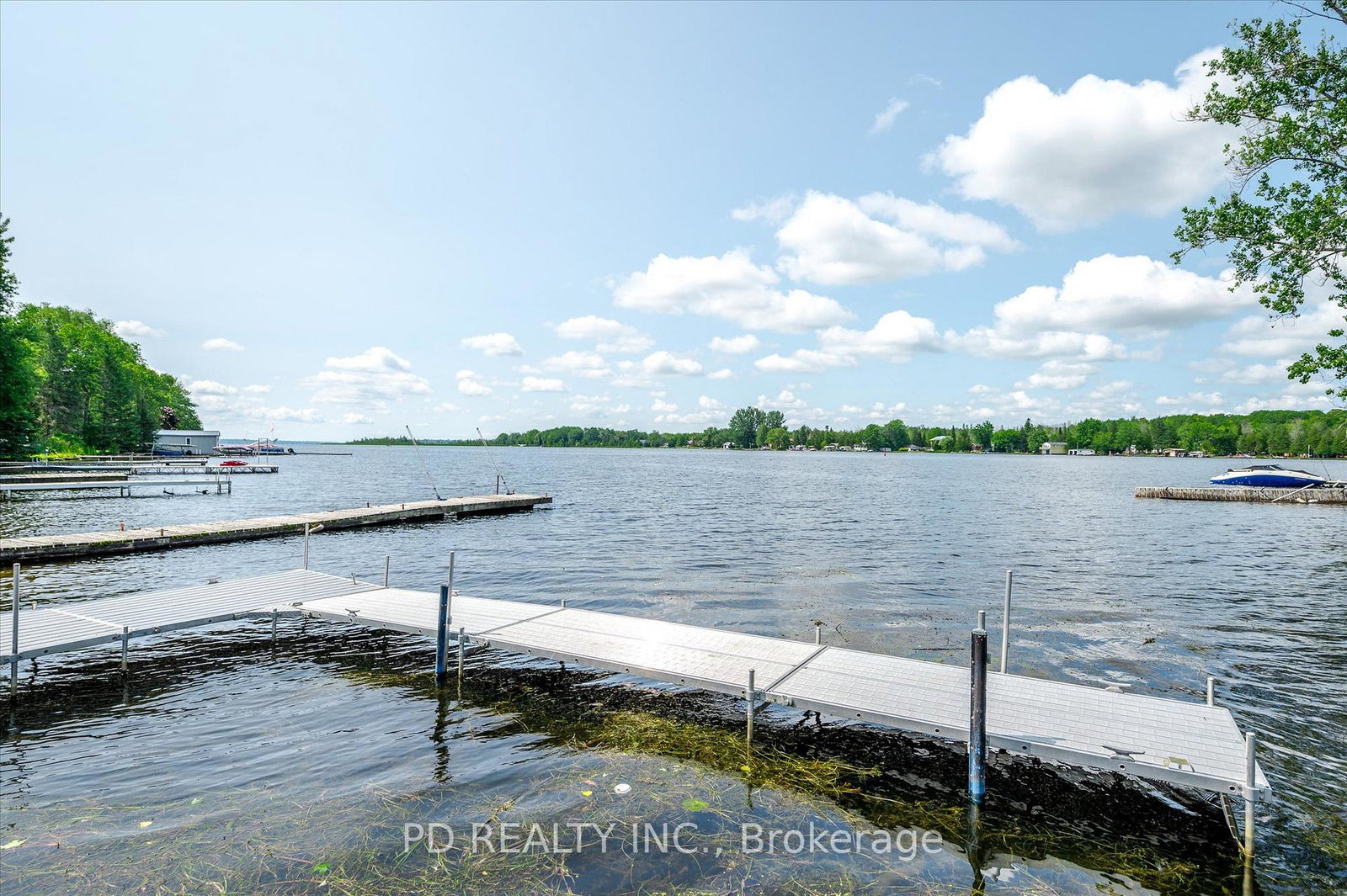 48-sturgeon-glen-road-kawartha-lakes-ontario-x13128310
