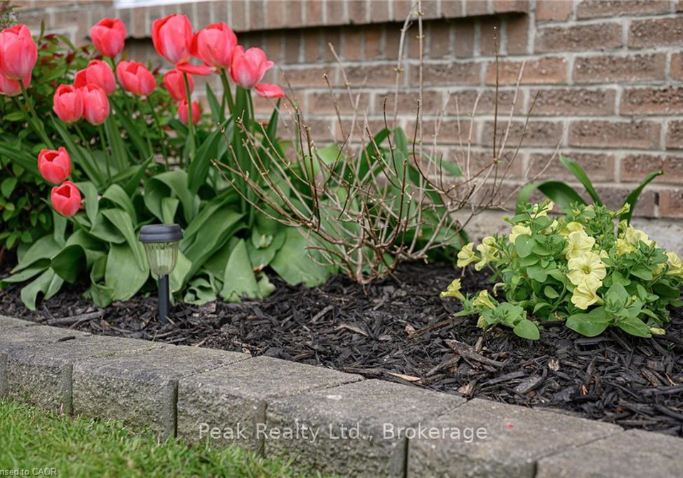 105-maple-avenue-stratford-ontario-x13129804