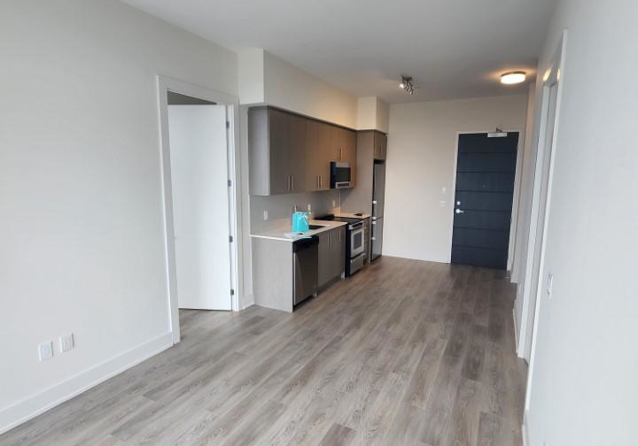 212-king-william-street-hamilton-ontario-x13130414