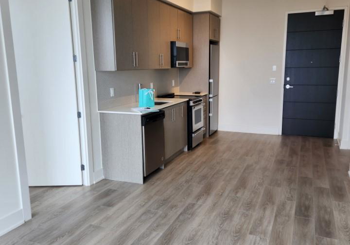 212-king-william-street-hamilton-ontario-x13130414