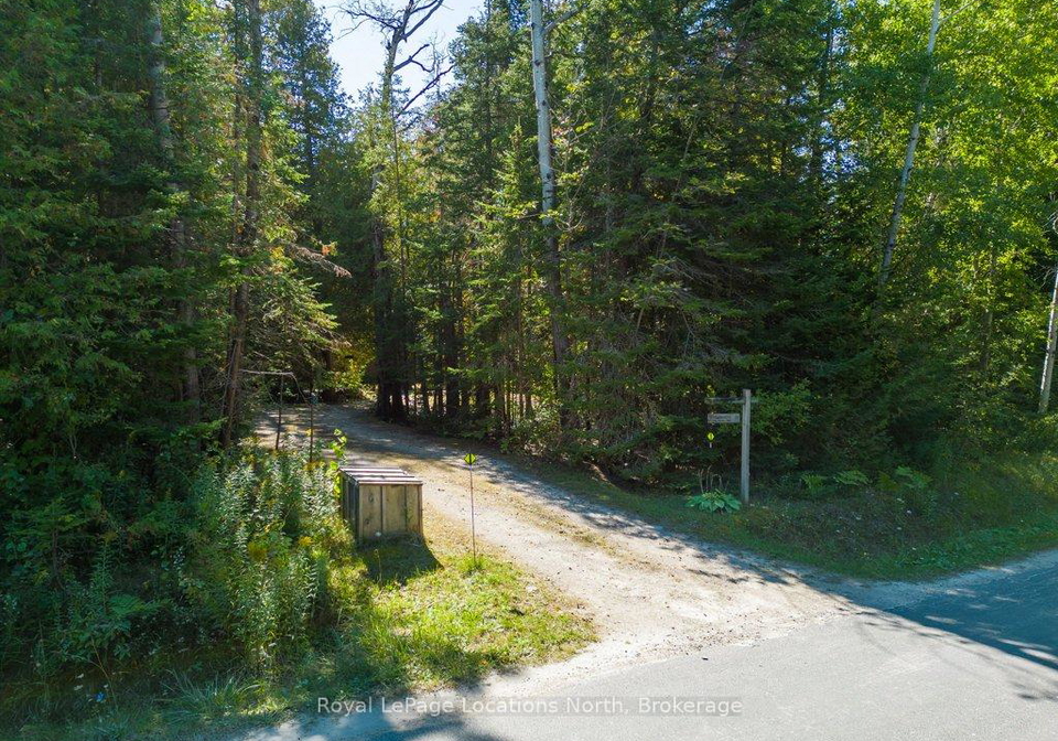 112-cameron-street-blue-mountains-ontario-x13130578