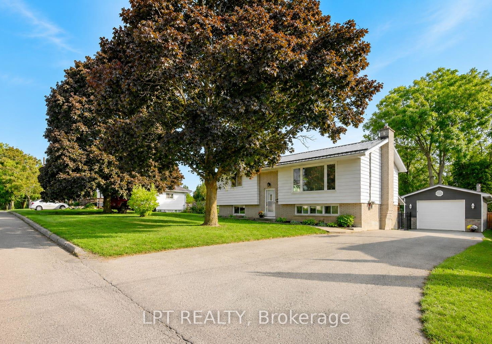 56-st-patrick-street-kawartha-lakes-ontario-x13131088