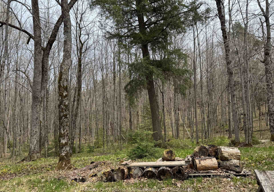34-weber-road-parry-sound-remote-area-ontario-x13131600