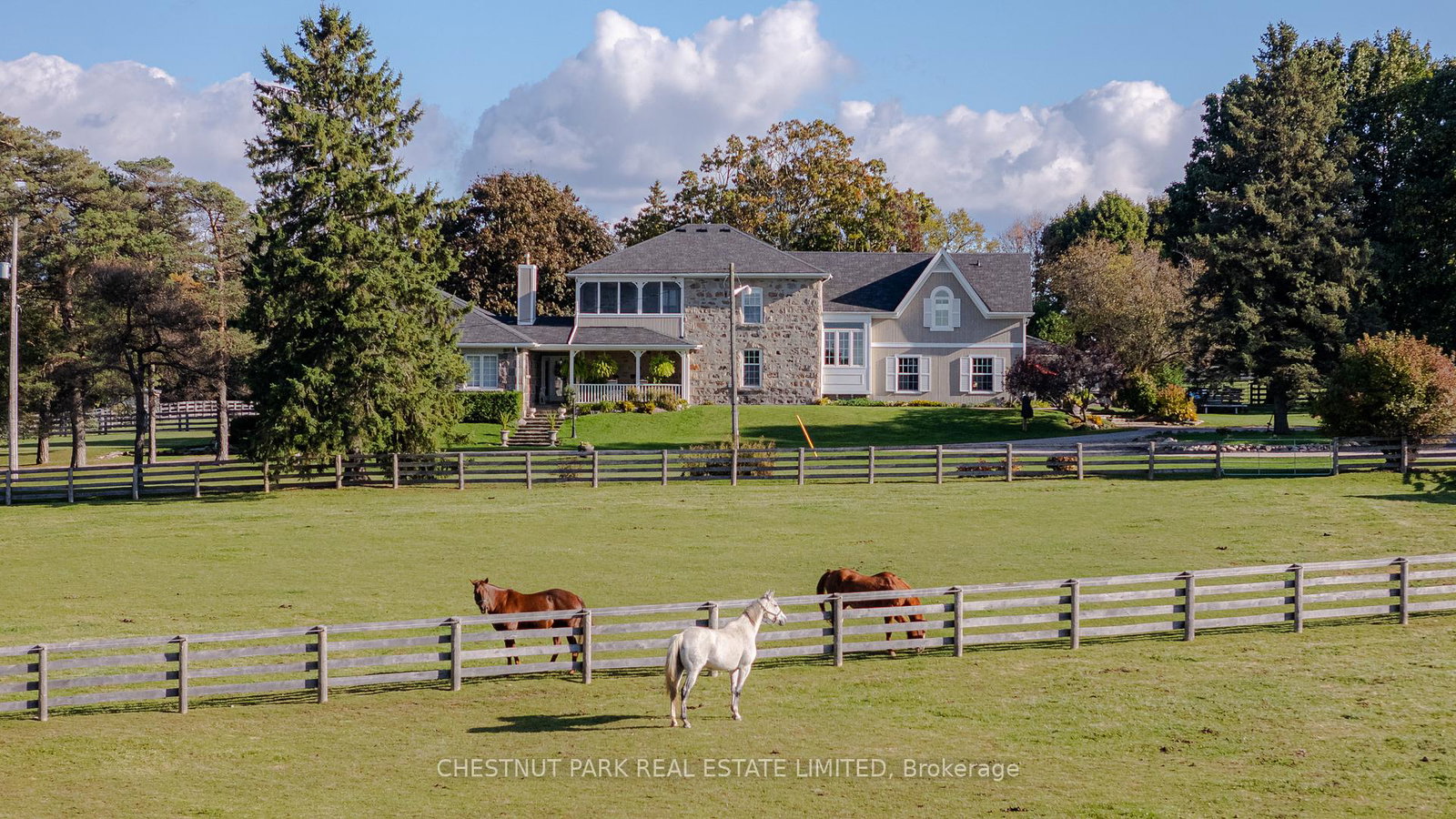 5228-first-line-erin-ontario-x13132666