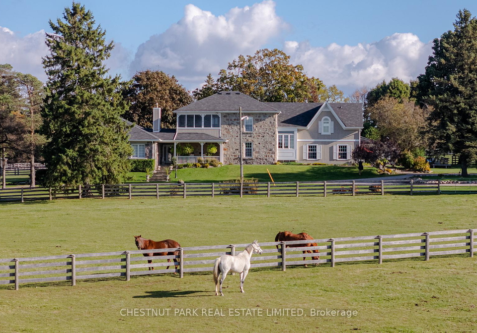 5228-first-line-erin-ontario-x13132666