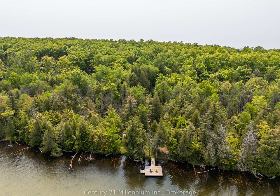 442811-sideroad-12-wgr-road-west-grey-ontario-x13133774