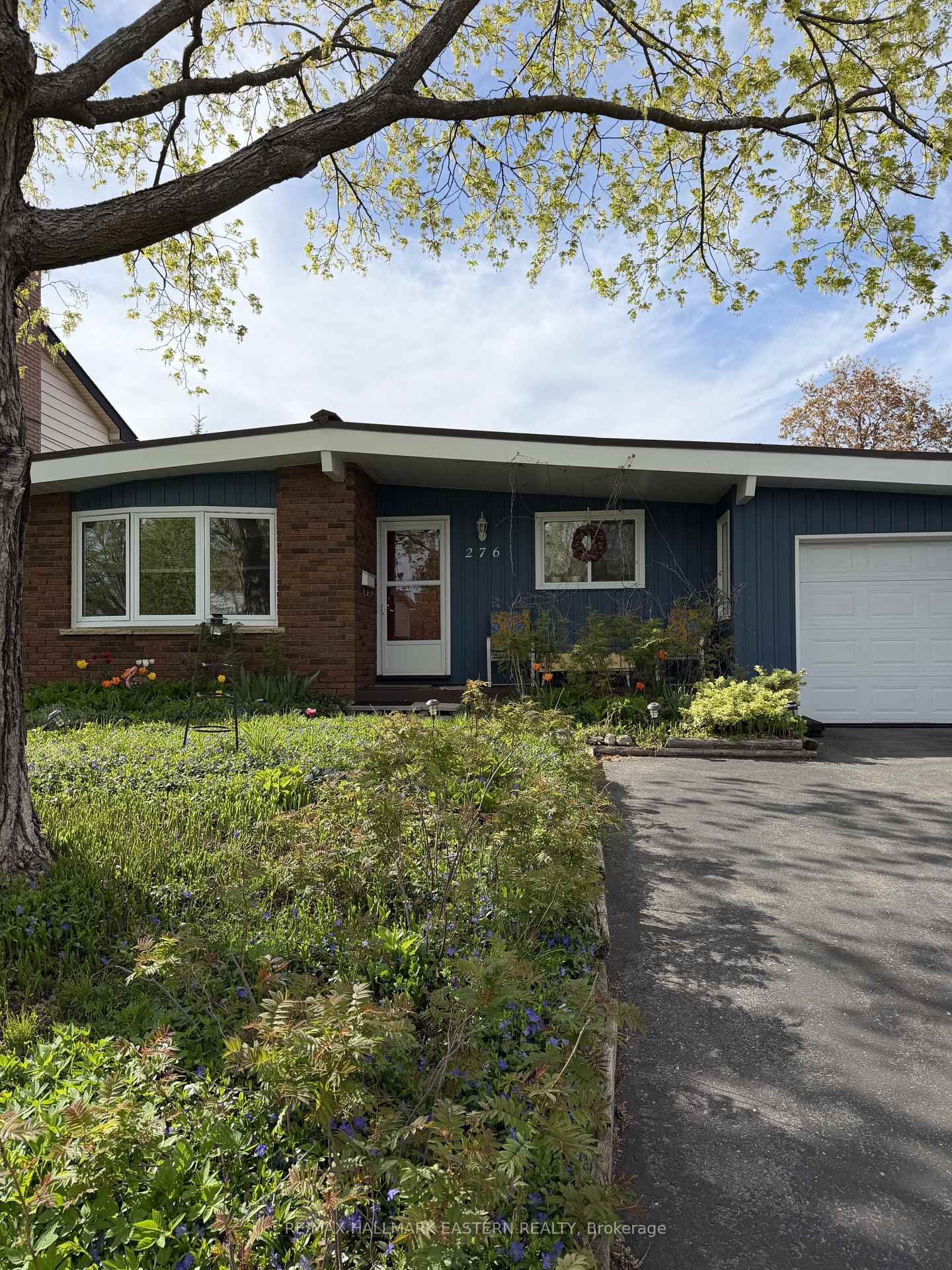 276-greenlawn-avenue-peterborough-ontario-x13134396