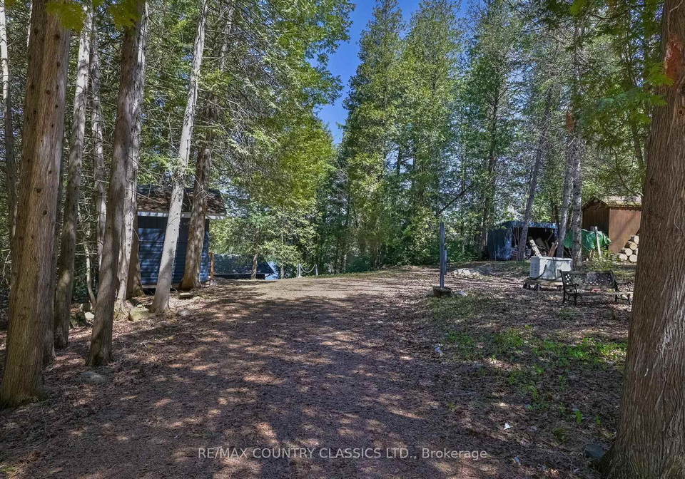 204-blue-heron-lane-north-kawartha-ontario-x13134540