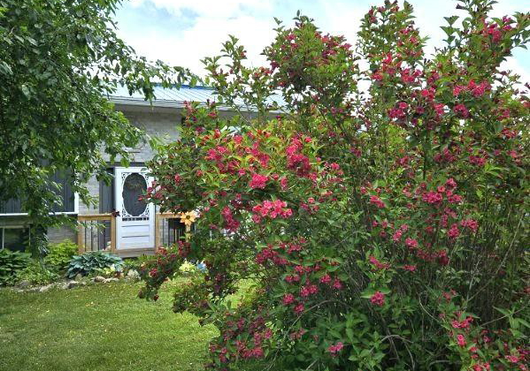 2220-county-11-road-greater-napanee-ontario-x13134640