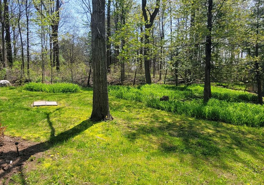 528-county-road-10-prince-edward-county-ontario-x13140990