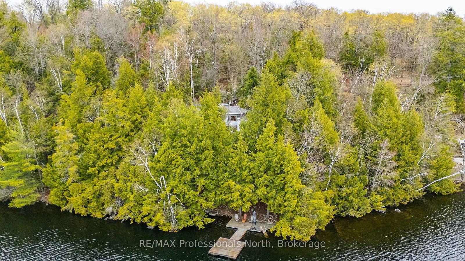 1201-trellis-trail-minden-hills-ontario-x13141832