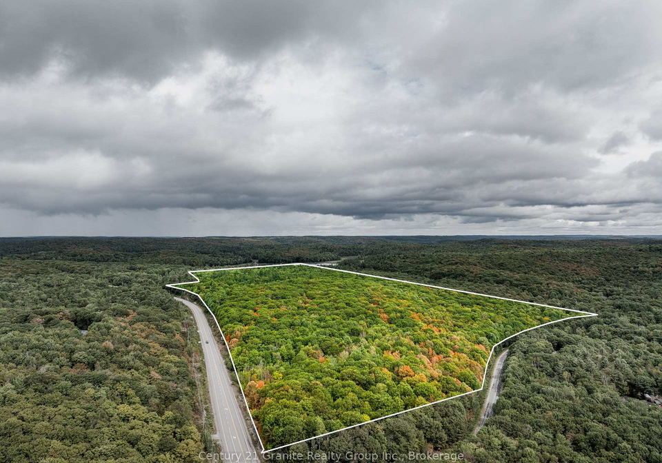 17812-highway-35-algonquin-highlands-ontario-x13142762