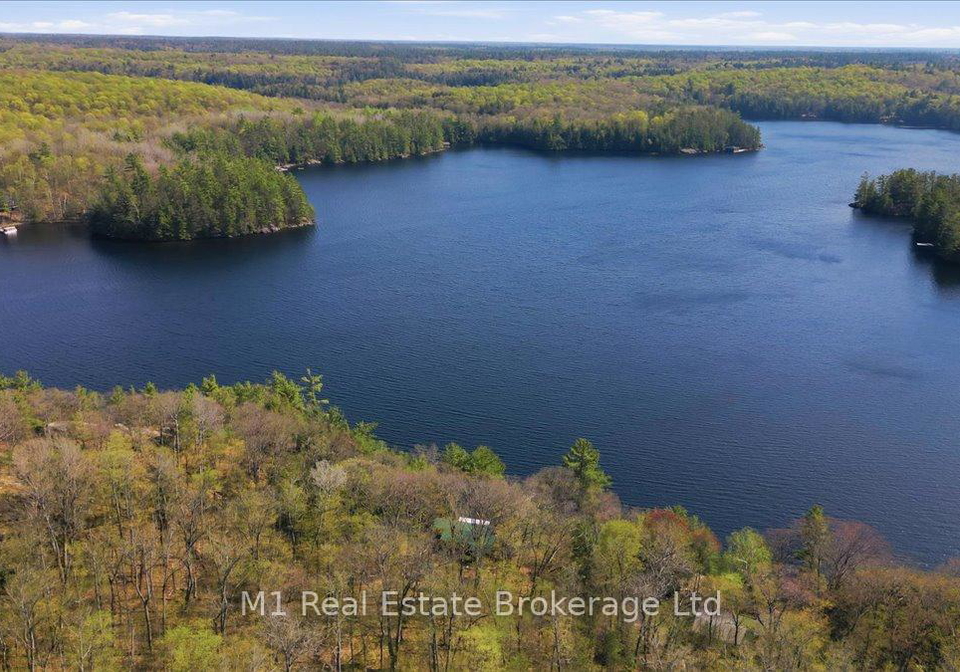 115-blackstone-lake-water-the-archipelago-ontario-x13147206