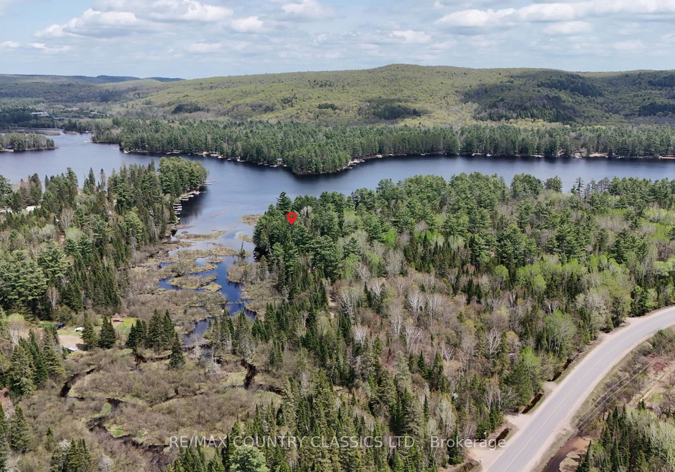 4501-elephant-lake-road-dysart-et-al-ontario-x13149536