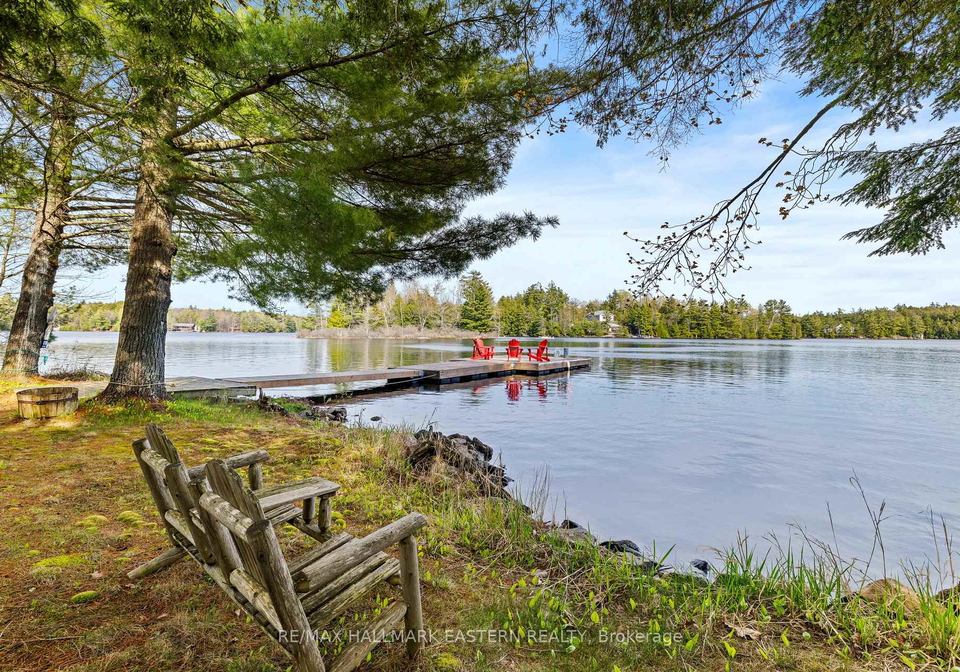 44-fire-route-196a-trent-lakes-ontario-x13150740