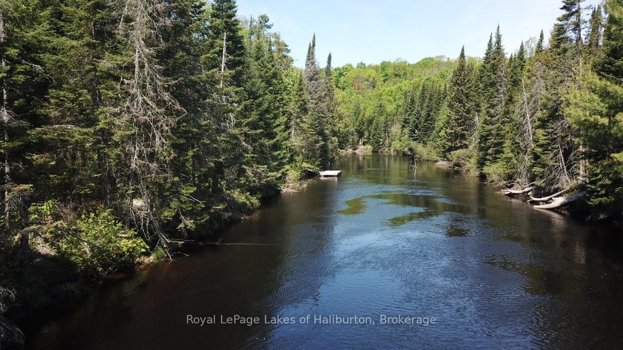 1880-boldts-lane-minden-hills-ontario-x13150746