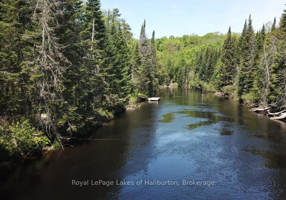 1880-boldts-lane-minden-hills-ontario-x13150746