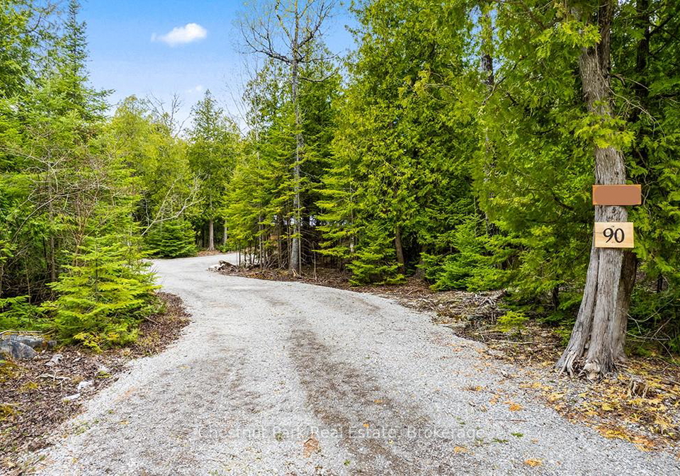 90-devils-glen-northern-bruce-peninsula-ontario-x13150894