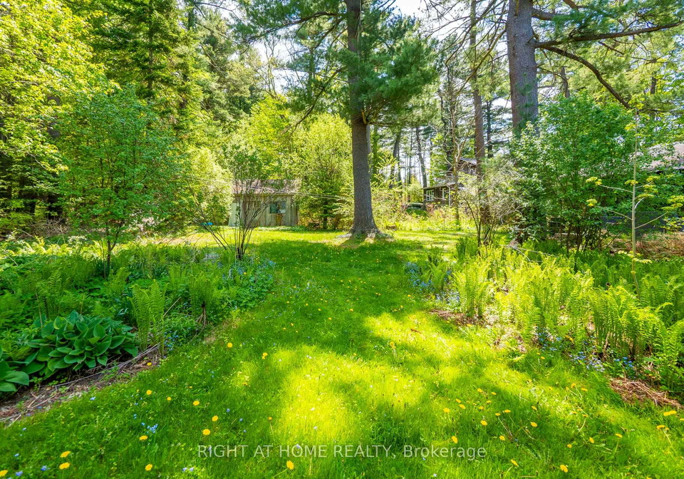 255-shaver-road-hamilton-ontario-x13152992