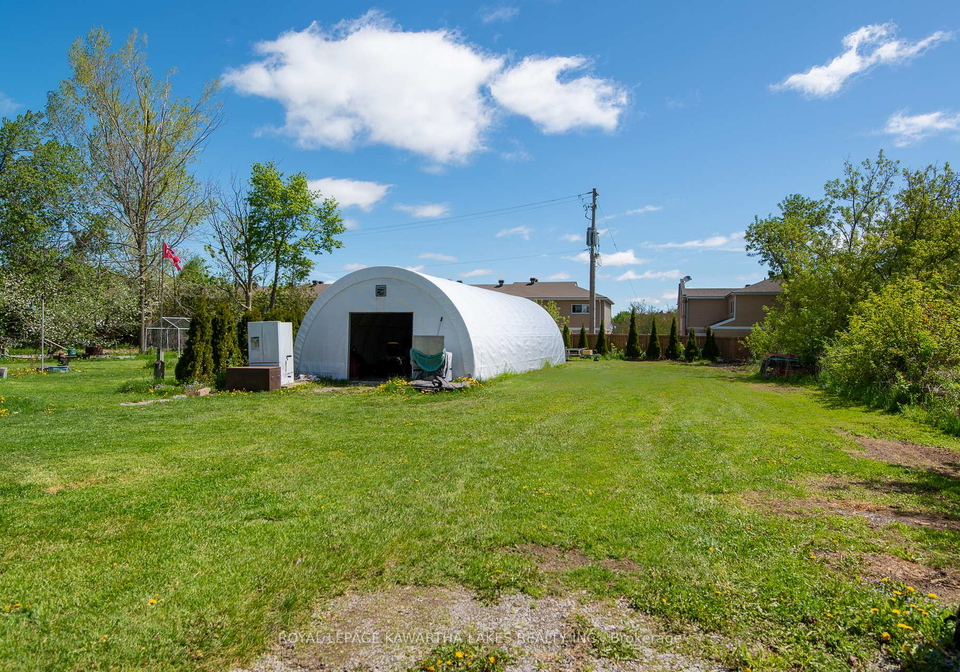 8-wolfe-street-kawartha-lakes-ontario-x13153464