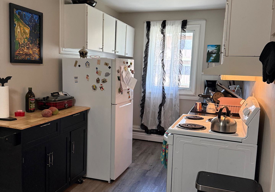 191-lisgar-avenue-tillsonburg-ontario-x13155338