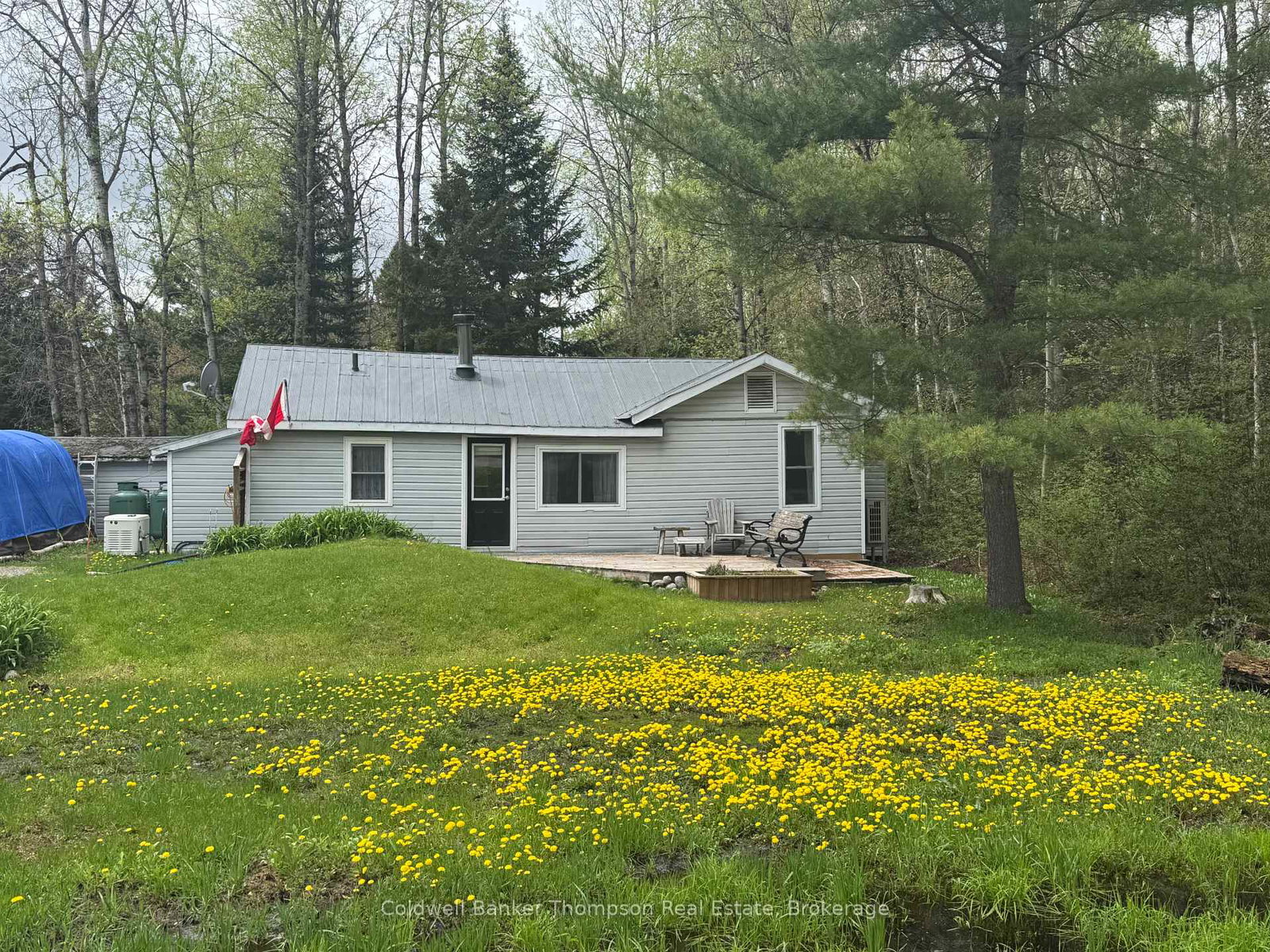 233-main-street-kearney-ontario-x13155416