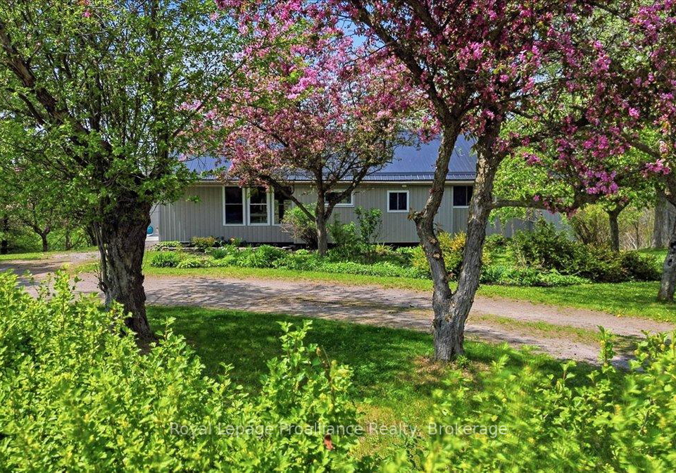 659-moira-road-centre-hastings-ontario-x13155546