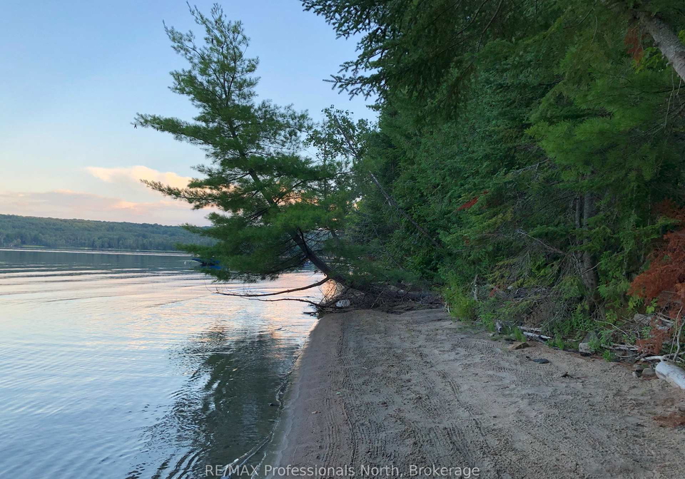 1755-north-shore-road-algonquin-highlands-ontario-x13158508