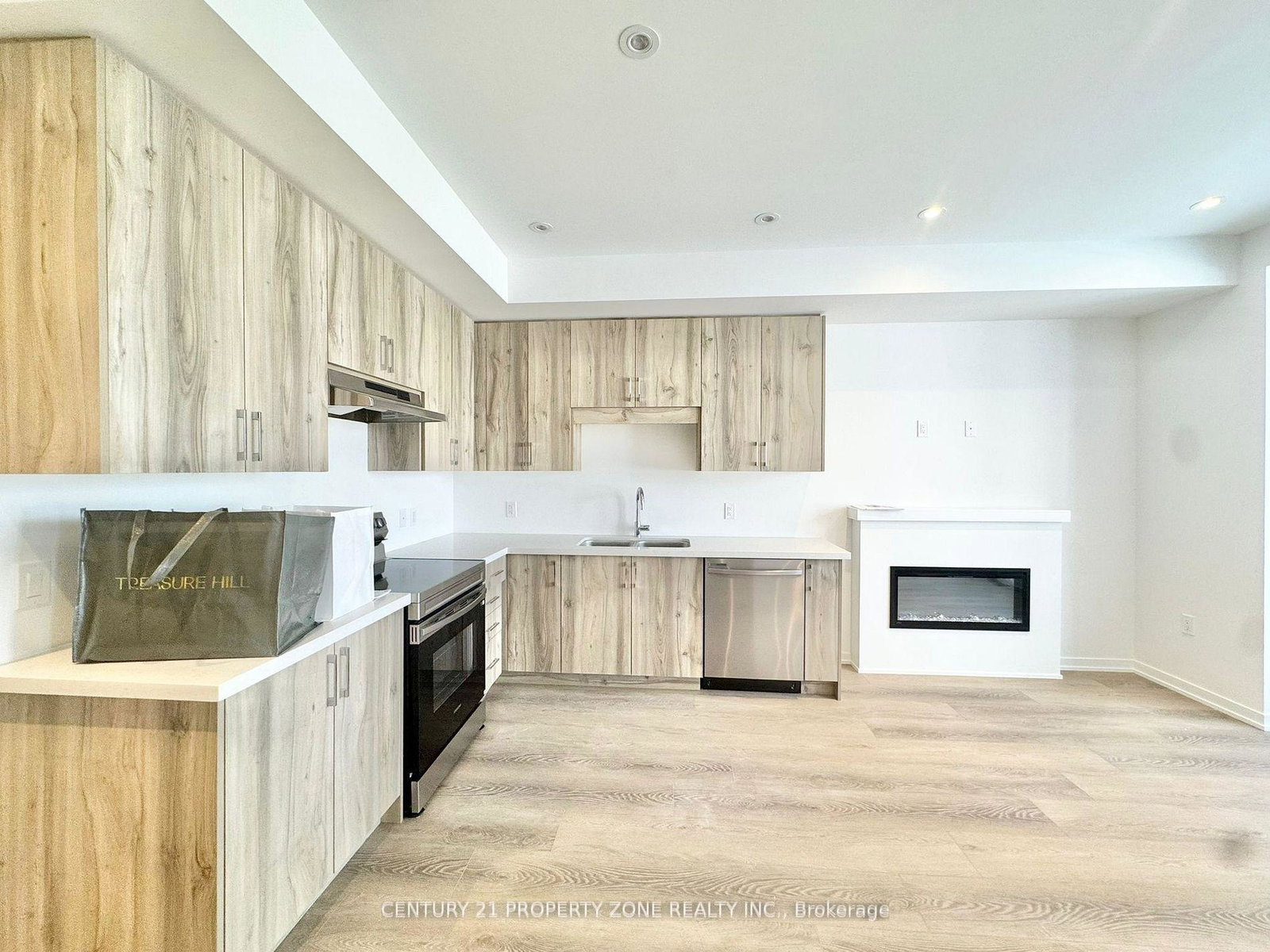 49-kingbird-common-cambridge-ontario-x13158604