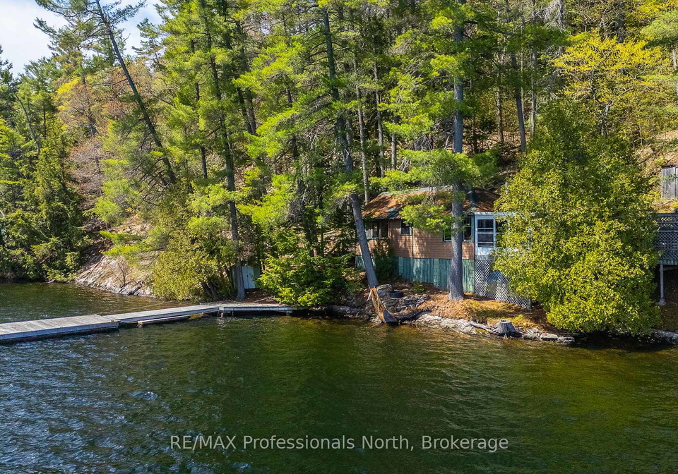 10145-little-hawk-west-sho-algonquin-highlands-ontario-x13159208