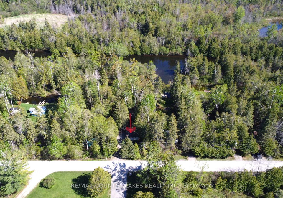 77-mcguire-beach-road-kawartha-lakes-ontario-x13160934