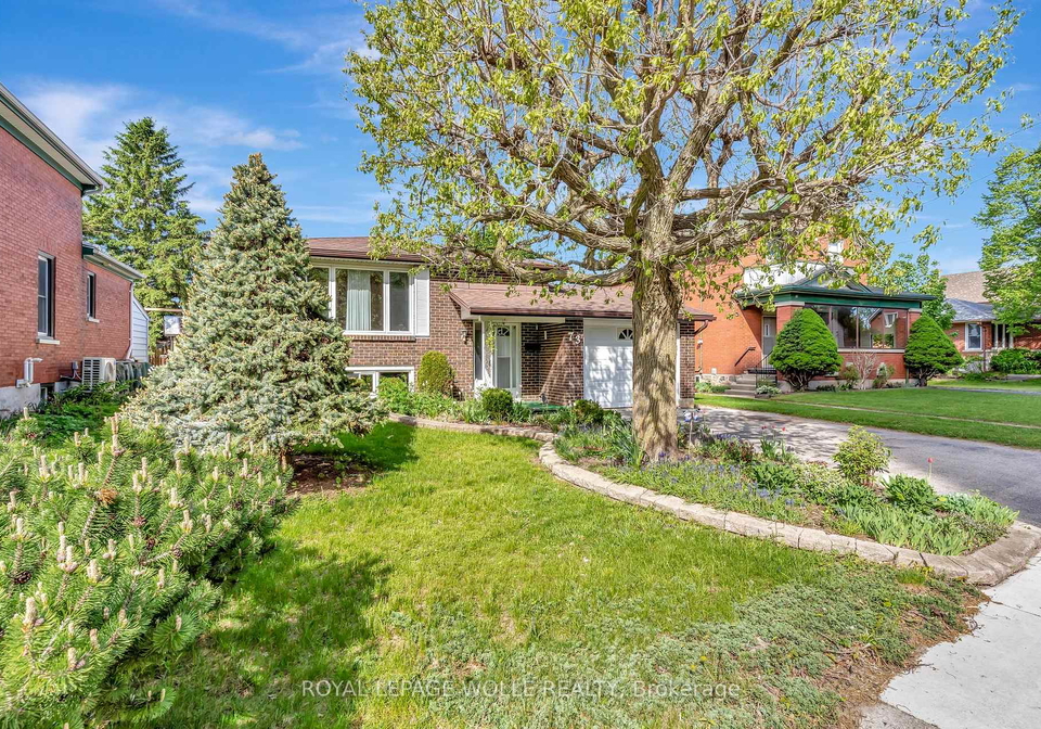 73-brunswick-avenue-kitchener-ontario-x13161602