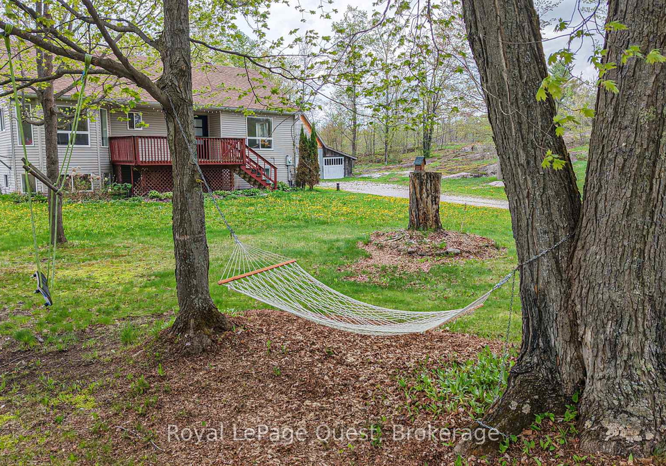 137-morton-lane-kawartha-lakes-ontario-x13162692