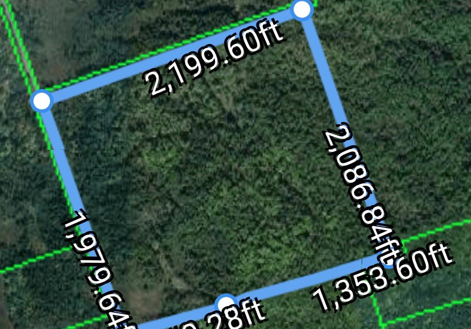 174-moon-line-road-n-trent-lakes-ontario-x13163006