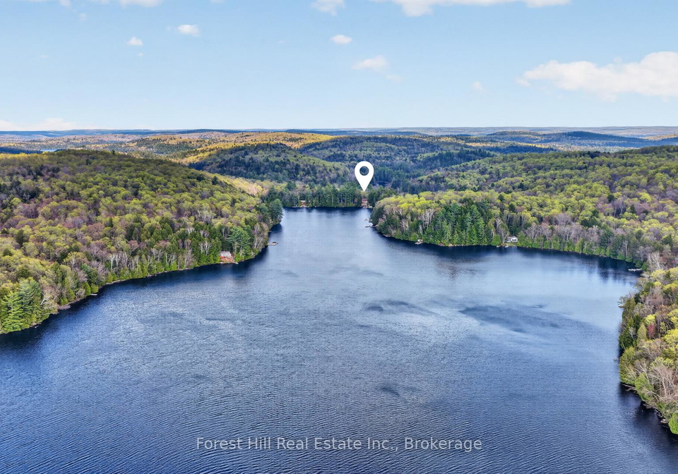 3611-livingstone-lake-road-algonquin-highlands-ontario-x13164622