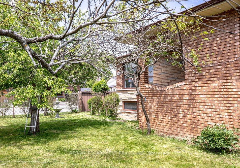 381-red-oak-avenue-hamilton-ontario-x13164814