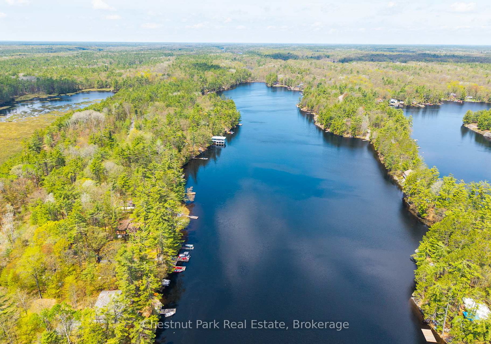 1117-turtle-lake-road-gravenhurst-ontario-x13167636