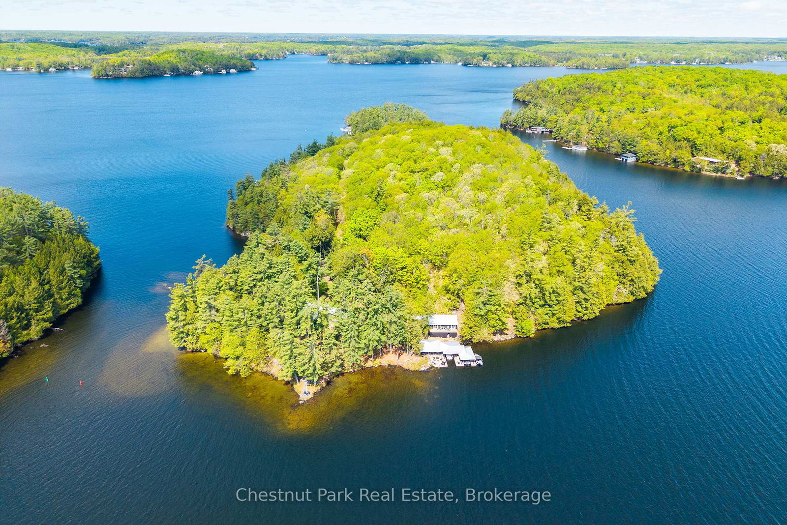 5-is-beacon-island-muskoka-lakes-ontario-x13168632