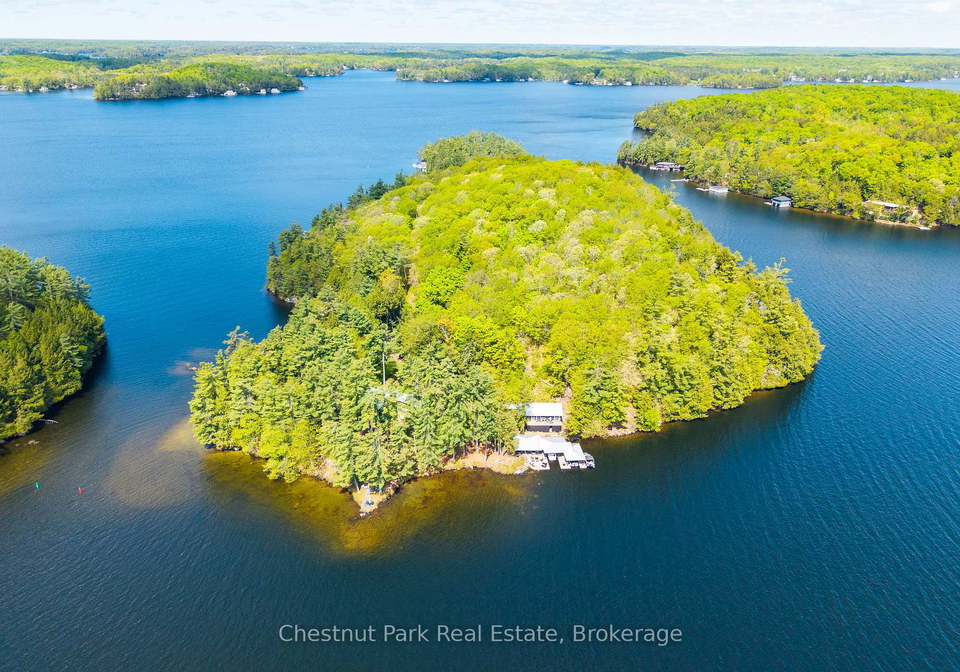 5-is-beacon-island-muskoka-lakes-ontario-x13168632