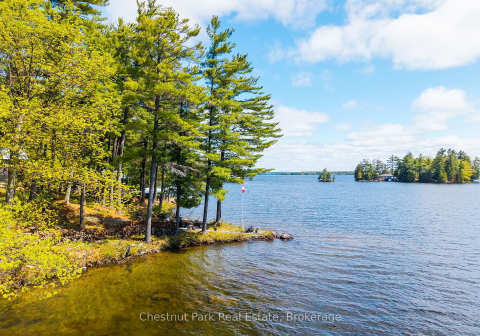 5-is-beacon-island-muskoka-lakes-ontario-x13168632