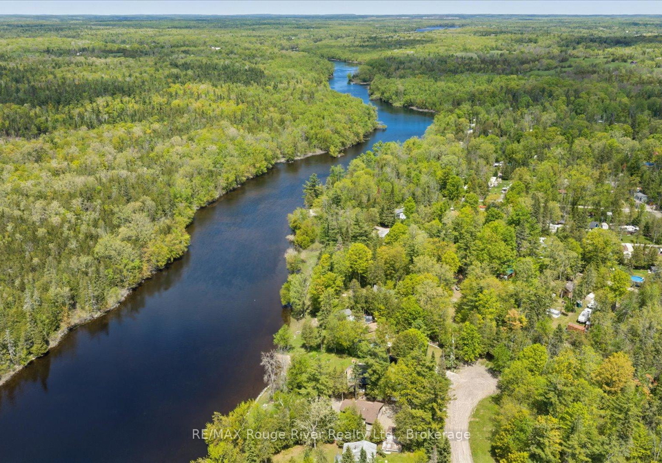 189-pine-lane-trent-hills-ontario-x13169176
