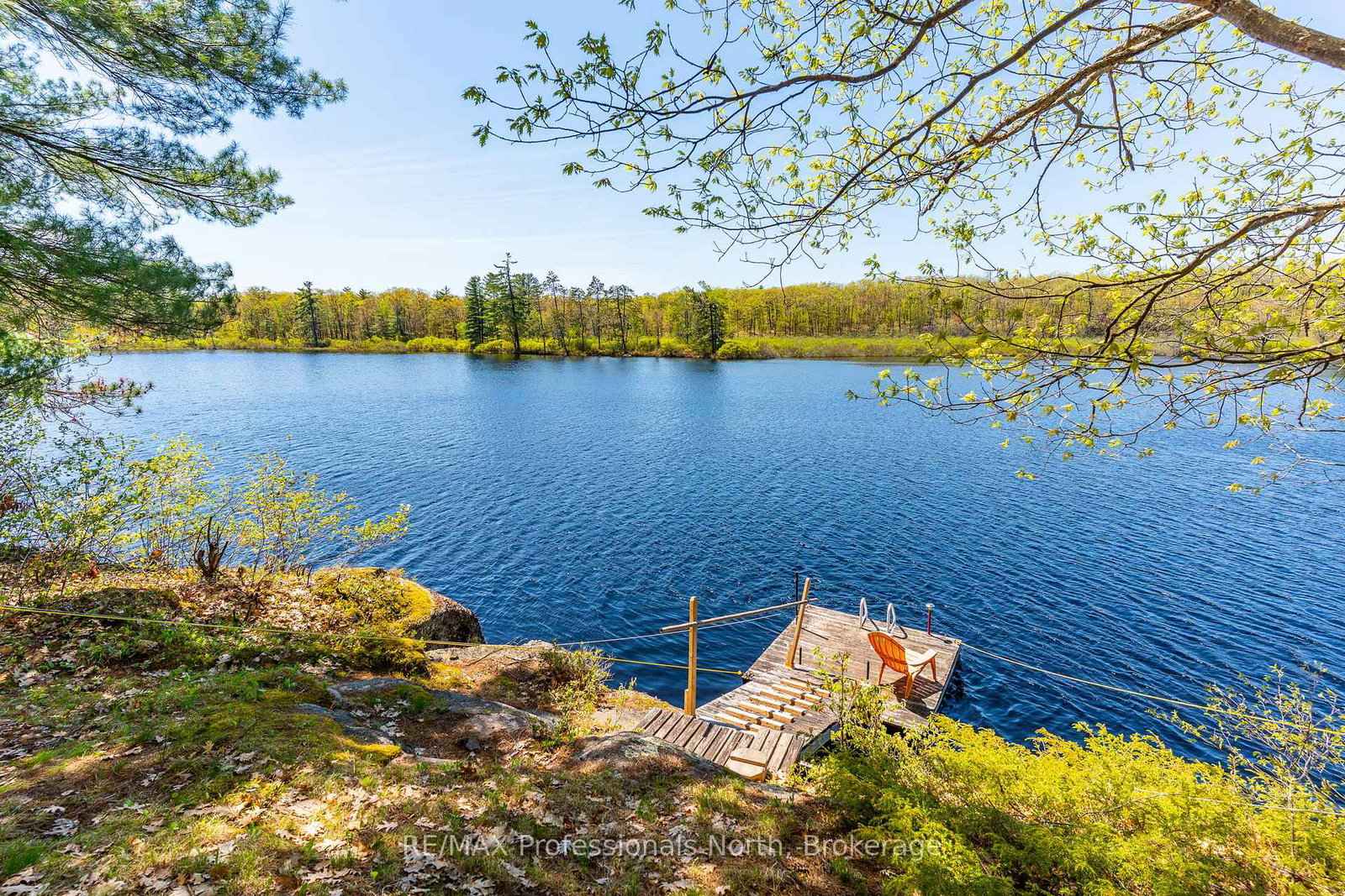 1011-palomino-trail-minden-hills-ontario-x13171286