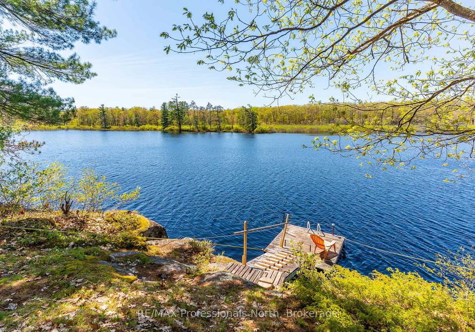 1011-palomino-trail-minden-hills-ontario-x13171286