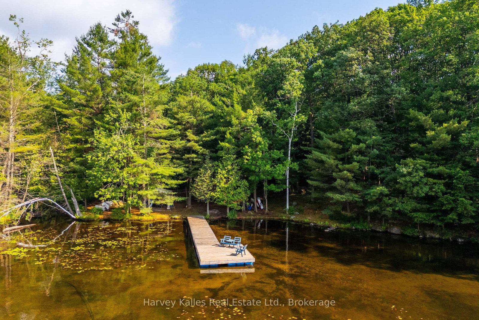 125barlochan-road-muskoka-lakes-ontario-x13173084