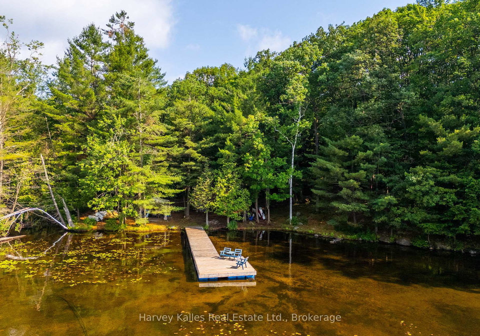 125barlochan-road-muskoka-lakes-ontario-x13173084