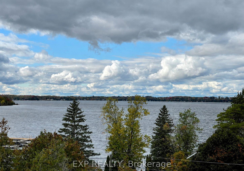 19-west-street-n-kawartha-lakes-ontario-x13173530
