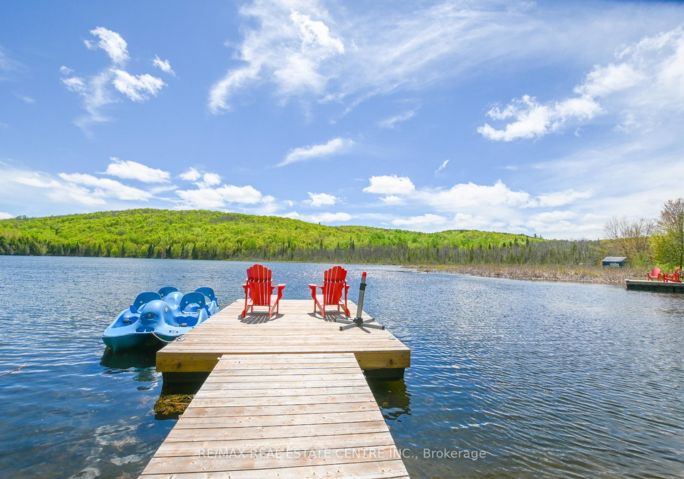 99-brethour-road-hastings-highlands-ontario-x13173592