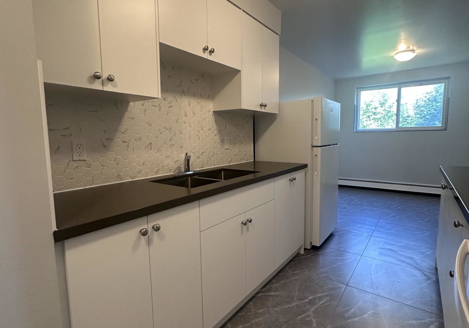 15-mowat-boulevard-kitchener-ontario-x13174194